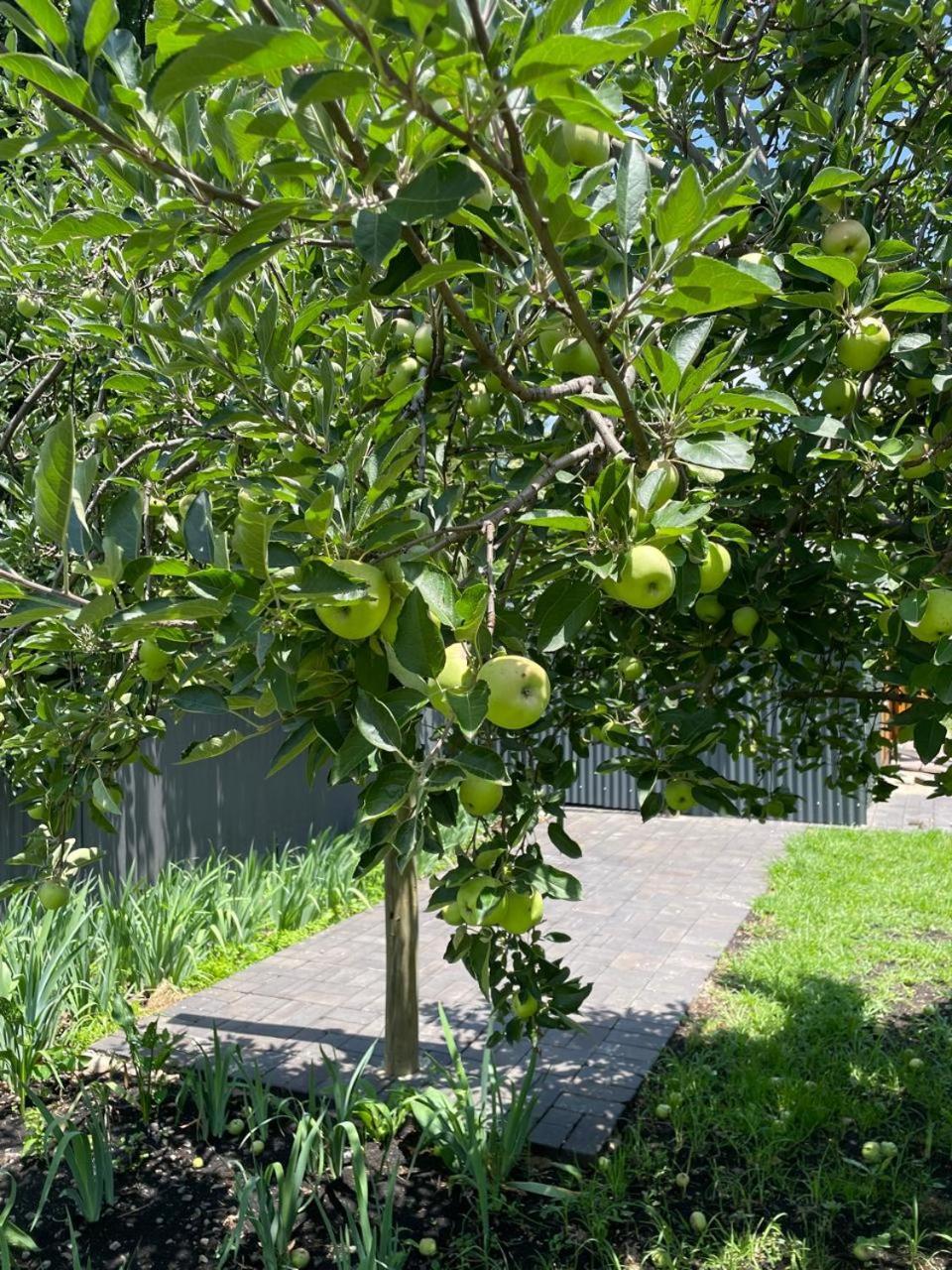 קלרנס Periwinkle, Grove ,Acorn & Sage Cottages מראה חיצוני תמונה